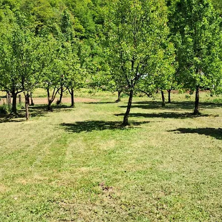 Dream House Seha Nyaraló *